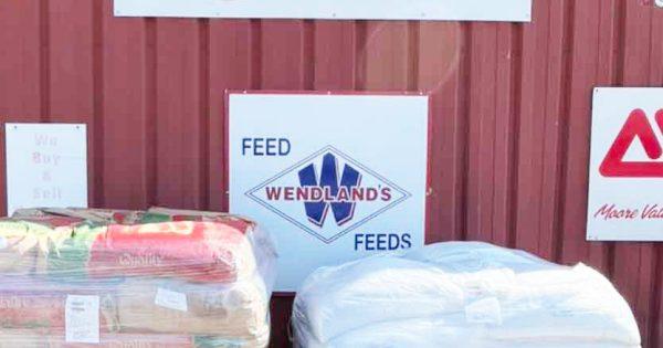 5D Farm and Feed: Business residence in Society and Service - last registration