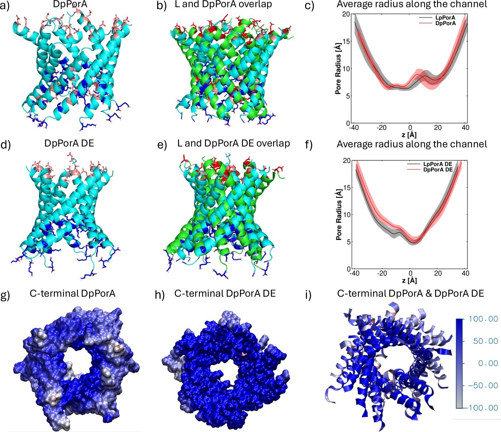 Progressive-Phone Nanopores Unlock to New Bieminical Application