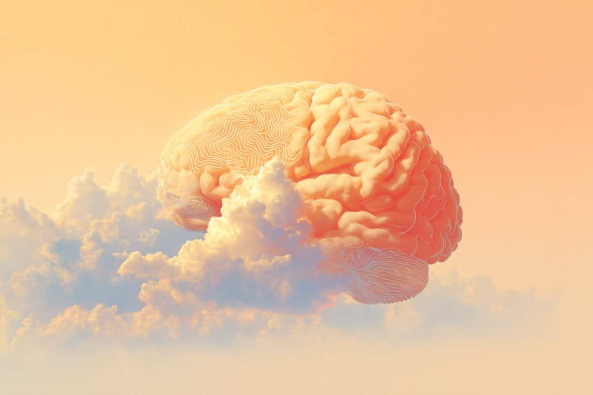 Sleep to consciousness: As the brain goes from dreams to reality - news on neurology