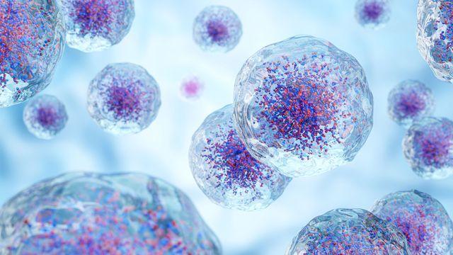 Mobile identity and training in immune epigenetic noise |Technological networks
