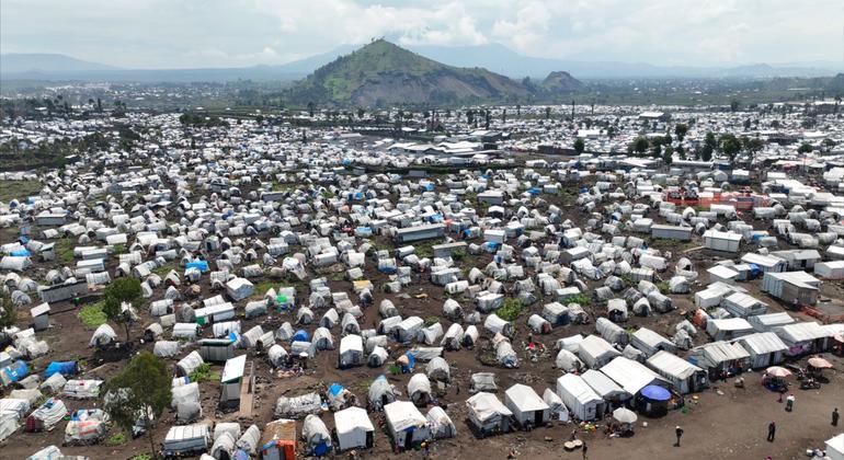 In Short World: New Battle in the East Doctor of Congo, Global Trade Update, HAPACK |